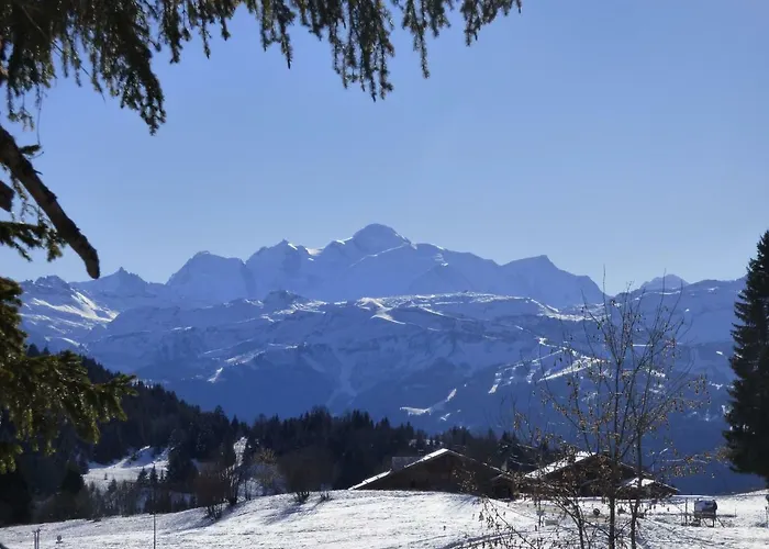 Apartmán Le Genepi Taninges